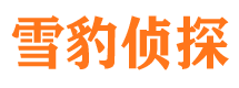 岳麓市私家侦探